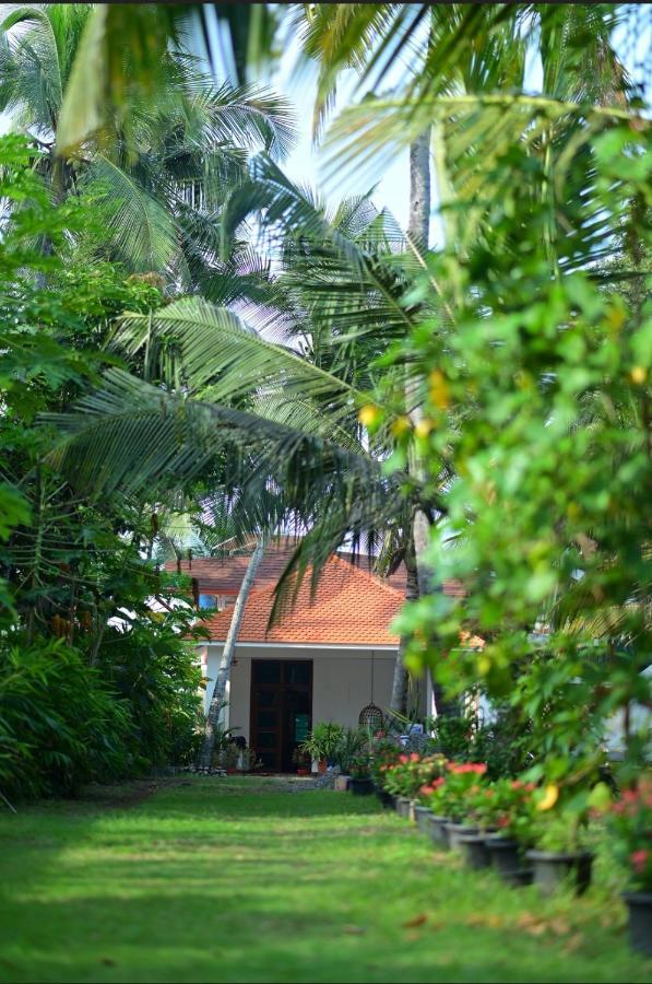 Seaside Homestay تريفِندرم المظهر الخارجي الصورة